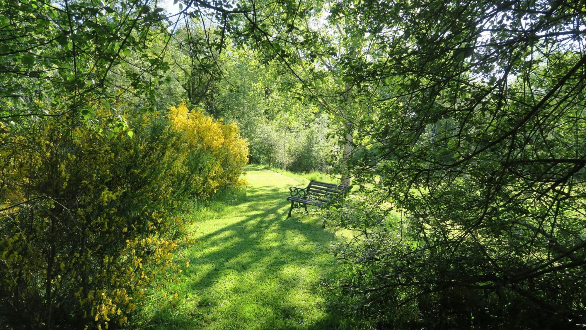 Serenite Verte A La Tuilerie Accommodation La Bazeuge Zewnętrze zdjęcie