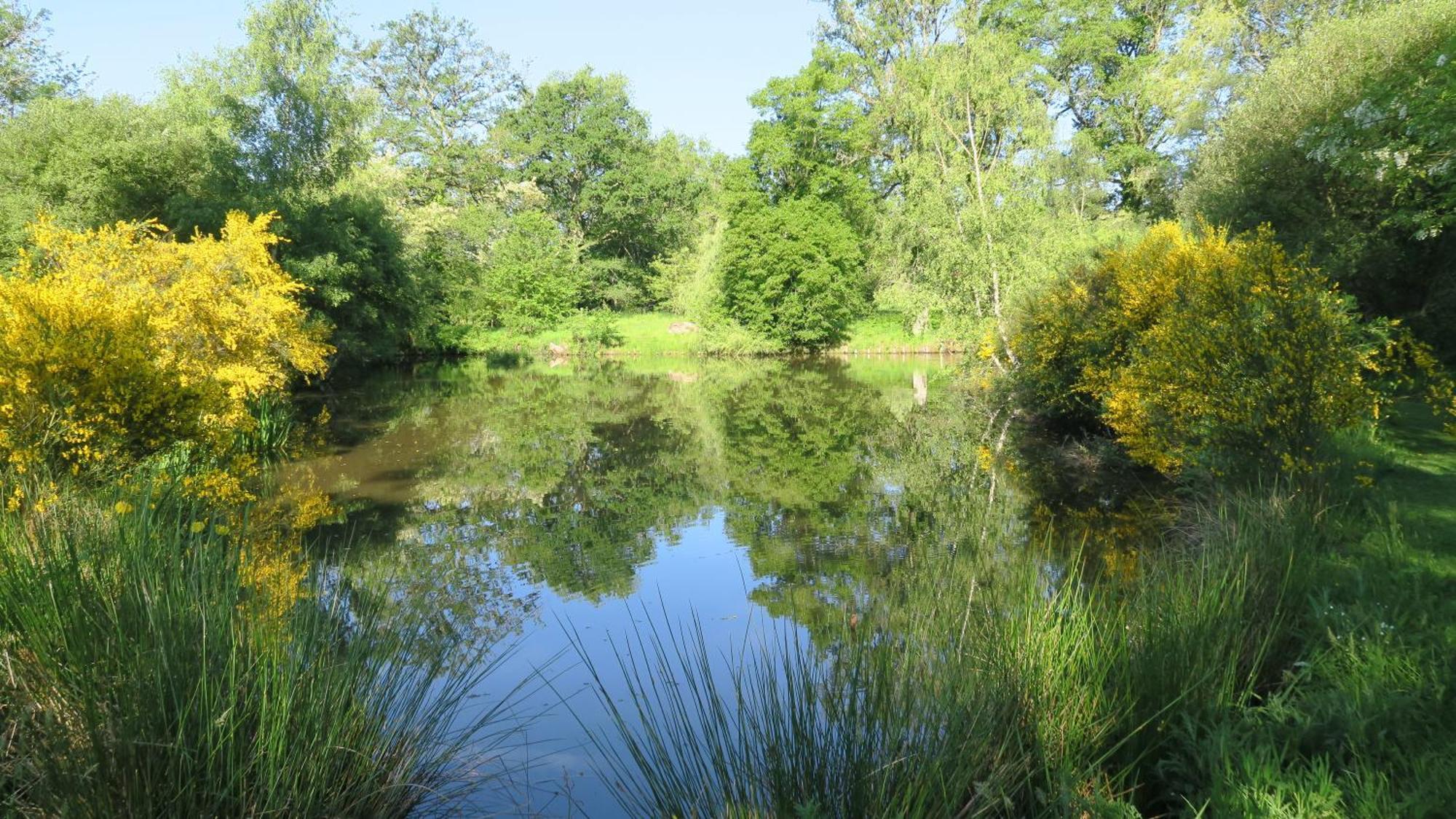 Serenite Verte A La Tuilerie Accommodation La Bazeuge Zewnętrze zdjęcie