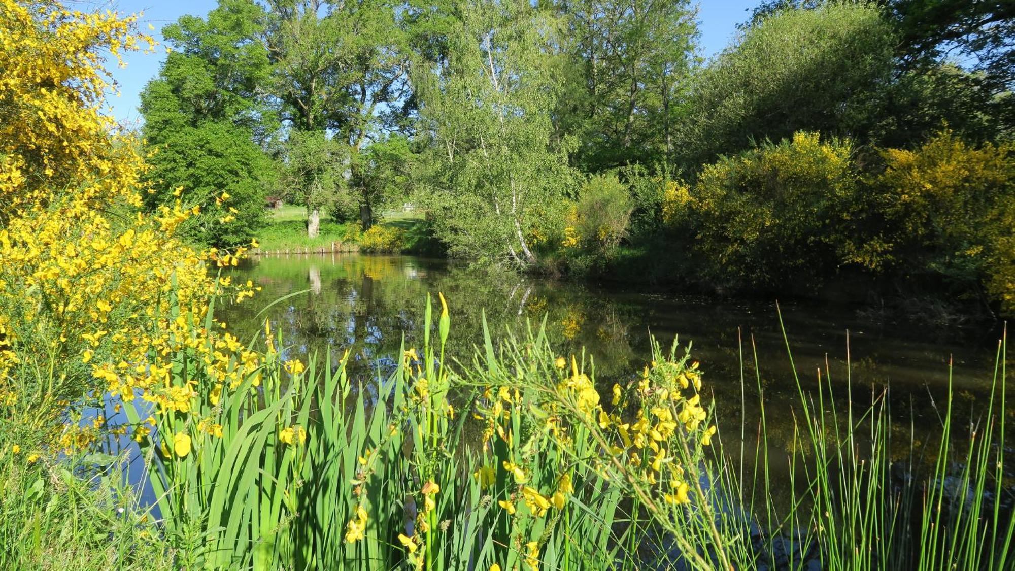 Serenite Verte A La Tuilerie Accommodation La Bazeuge Zewnętrze zdjęcie
