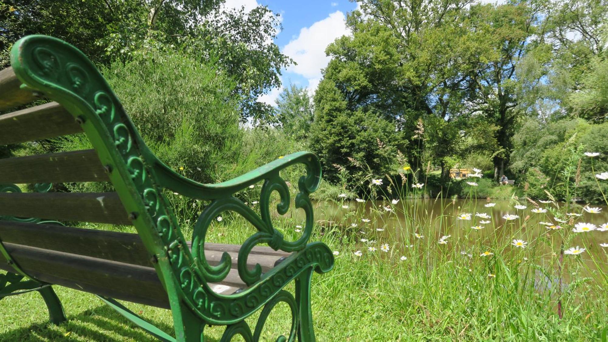 Serenite Verte A La Tuilerie Accommodation La Bazeuge Zewnętrze zdjęcie