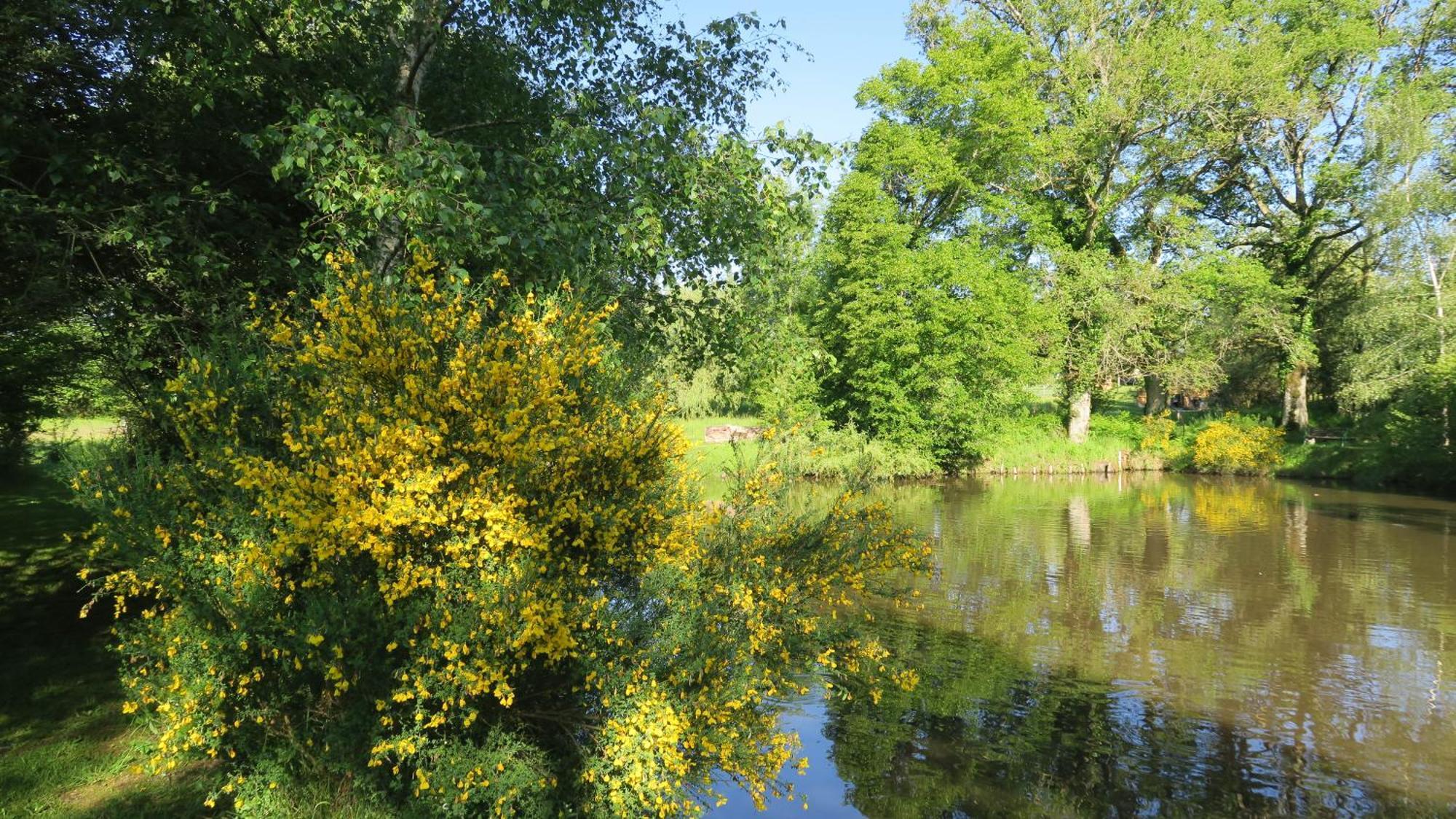 Serenite Verte A La Tuilerie Accommodation La Bazeuge Zewnętrze zdjęcie